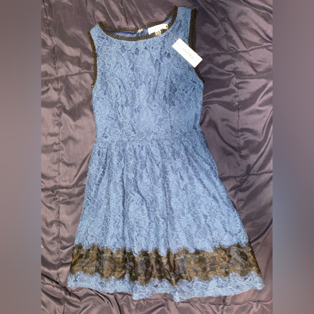 Francesca's Collections Women's Francesca's
Cornelia Lace Peacock Dress
